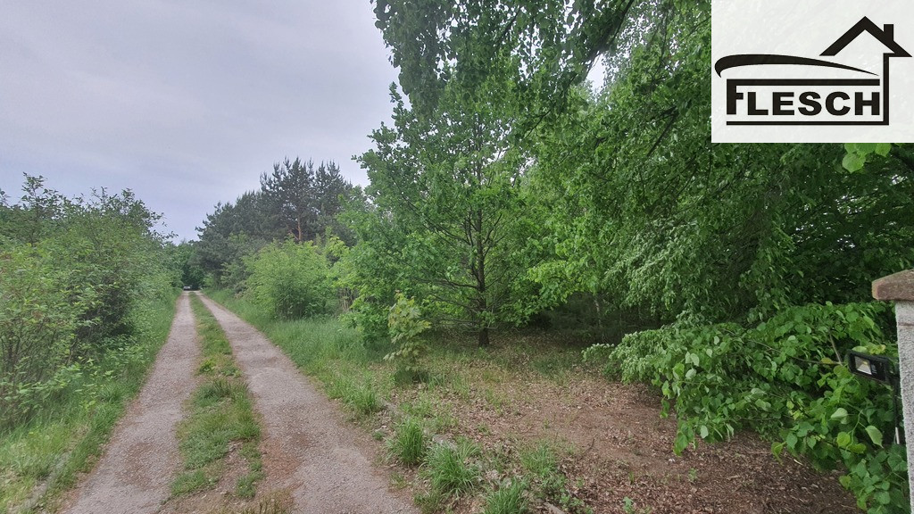 Działka Sprzedaż Rozalin