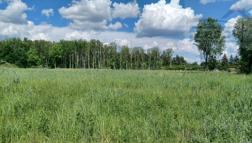 Działka Sprzedaż Kajetany Czarująca