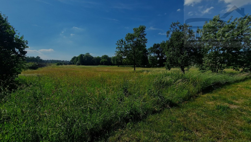 Działka Sprzedaż Walendów